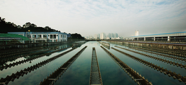 兩會(huì)聲音：城市“新洼地”之痛 如何補(bǔ)齊城市地下管網(wǎng)短板？